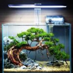 best aquarium Trivandrum